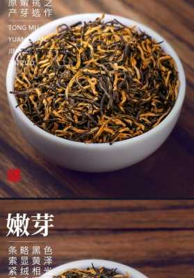 骏眉红茶的功效与作用（骏眉红茶是什么茶）