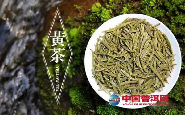 普洱茶黄山功效与作用（普洱黄茶是属于什么茶）